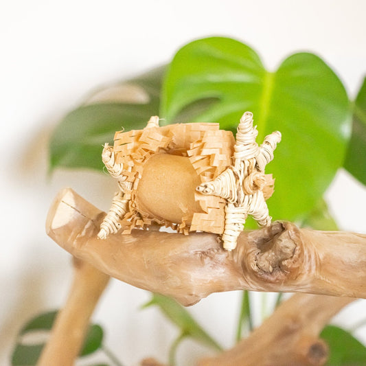 Nature's Pure Bliss - Foot Toy