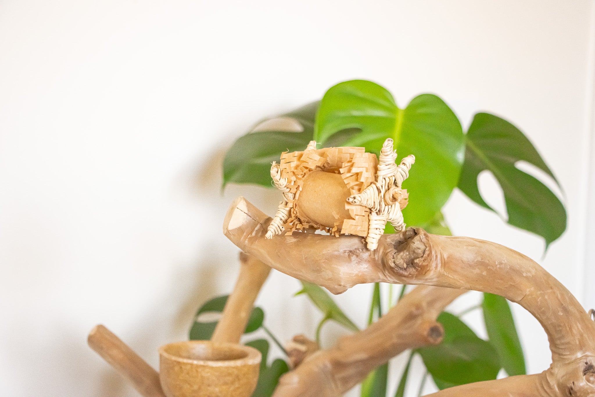 Nature's Pure Bliss - Foot Toy