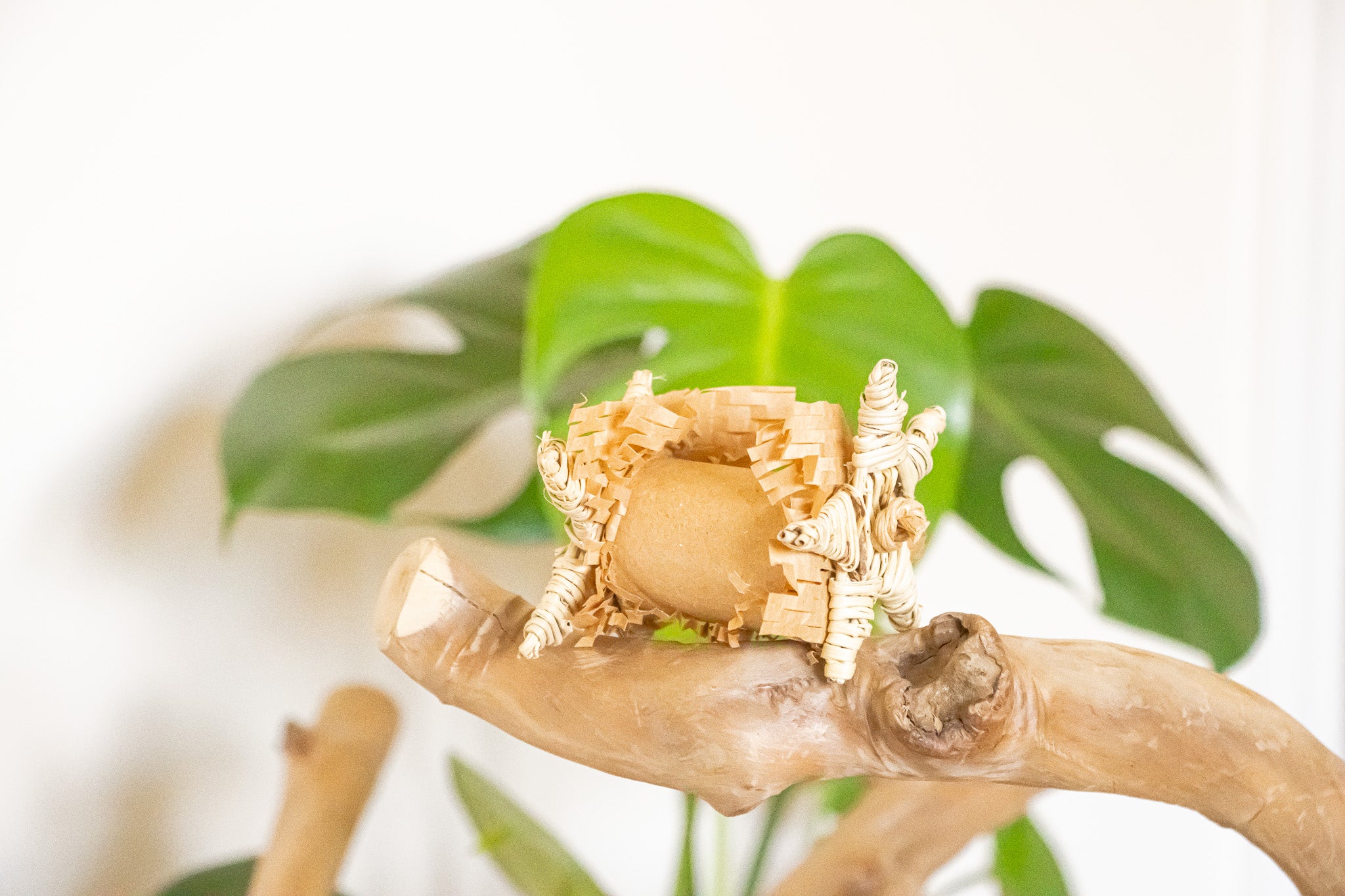 Nature's Pure Bliss - Foot Toy