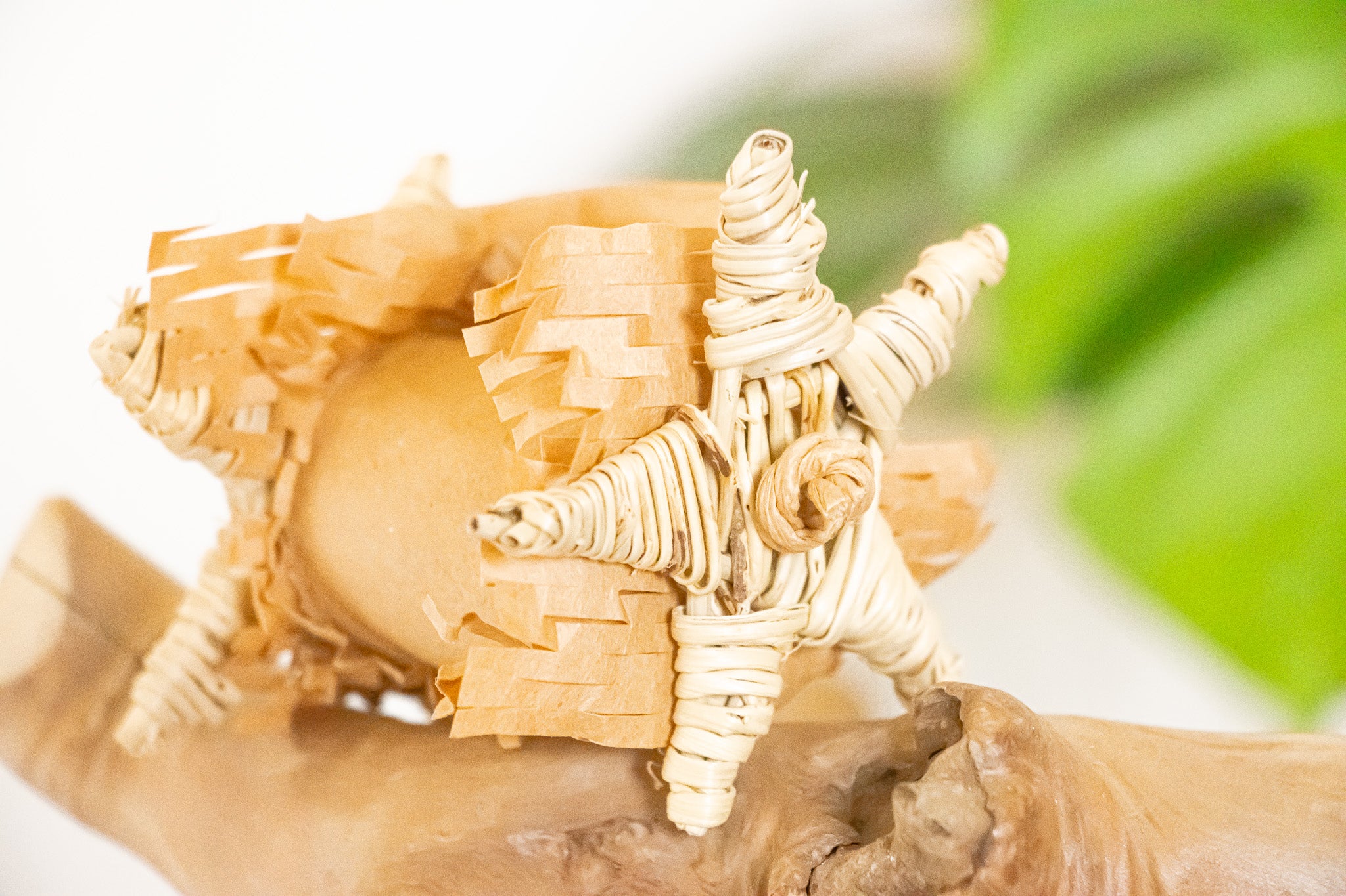 Nature's Pure Bliss - Foot Toy