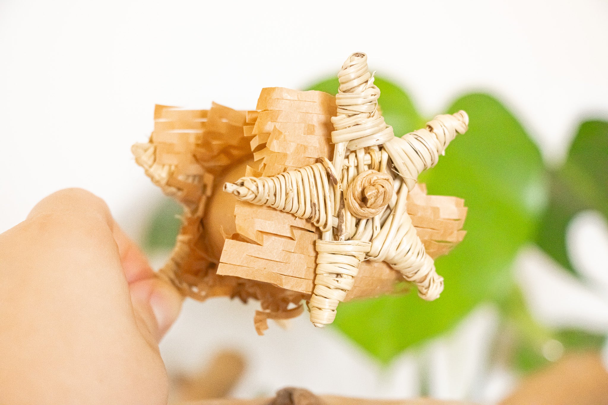 Nature's Pure Bliss - Foot Toy