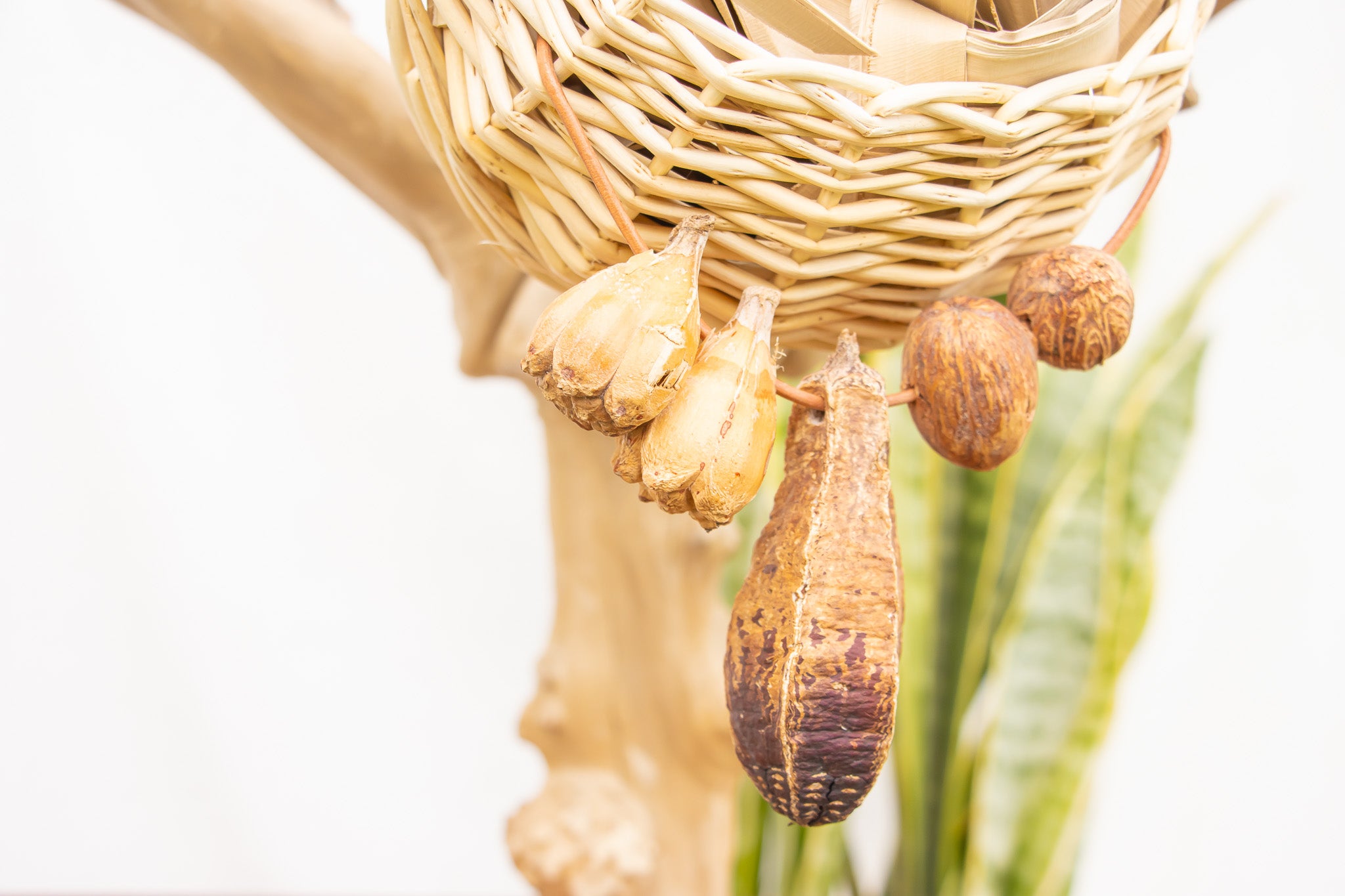 Quacktastic Adventures Basket - Natural Toy