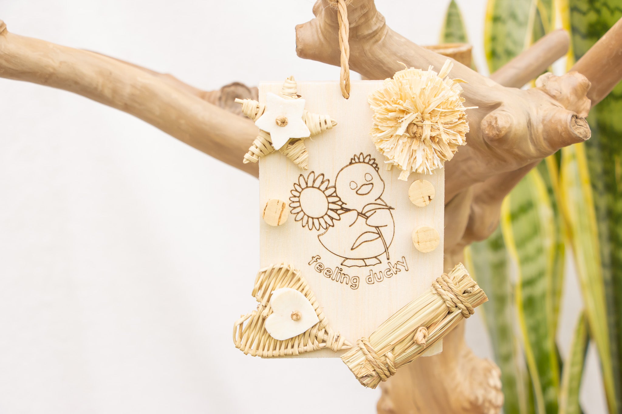 Quacktacular - Natural Toy