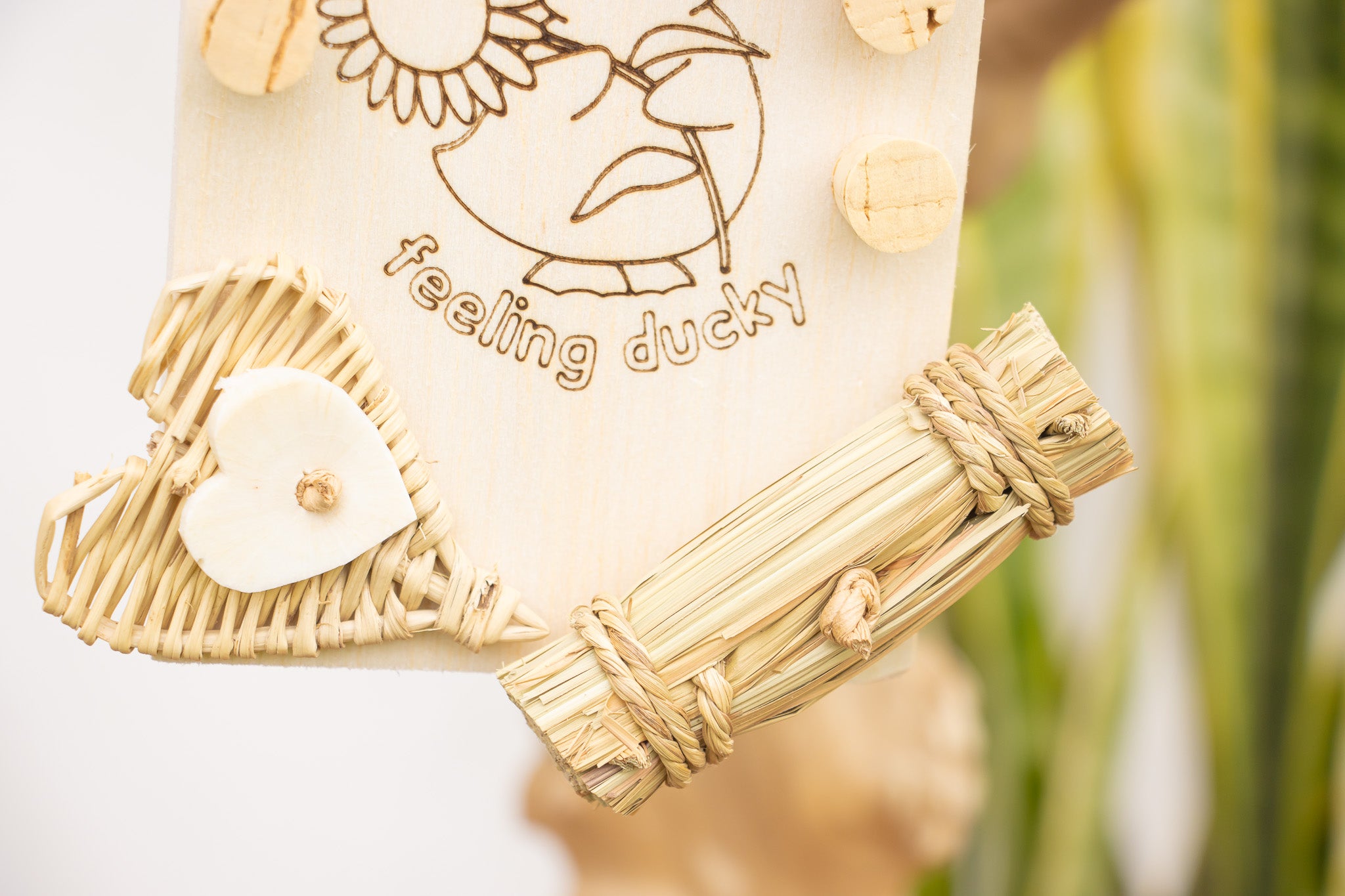 Quacktacular - Natural Toy