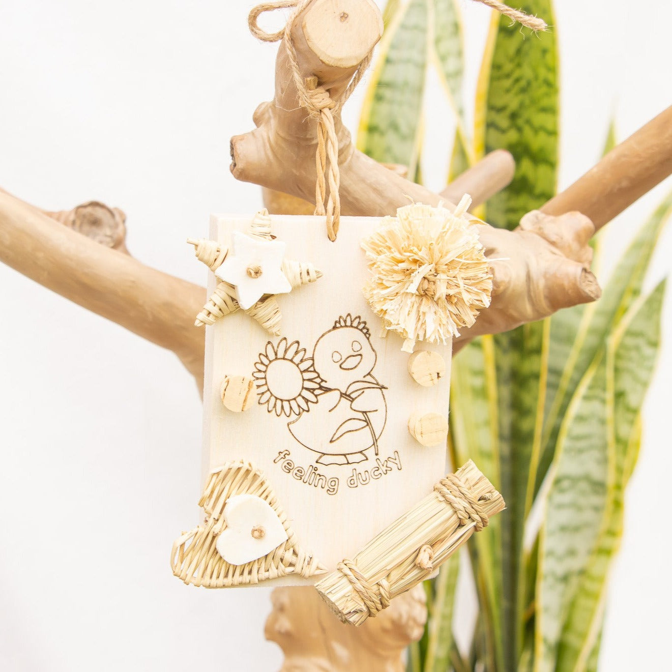 Quacktacular - Natural Toy