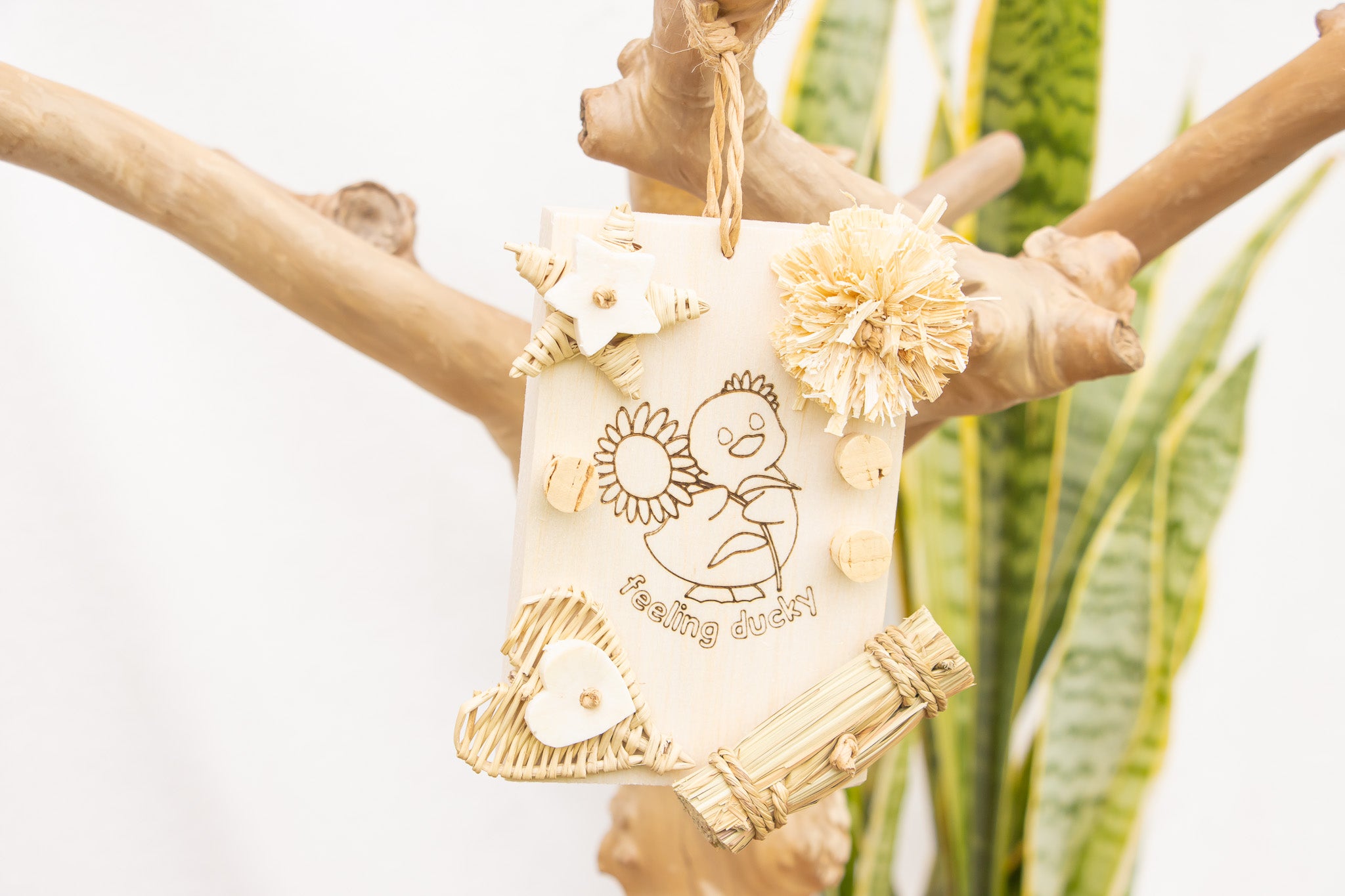 Quacktacular - Natural Toy