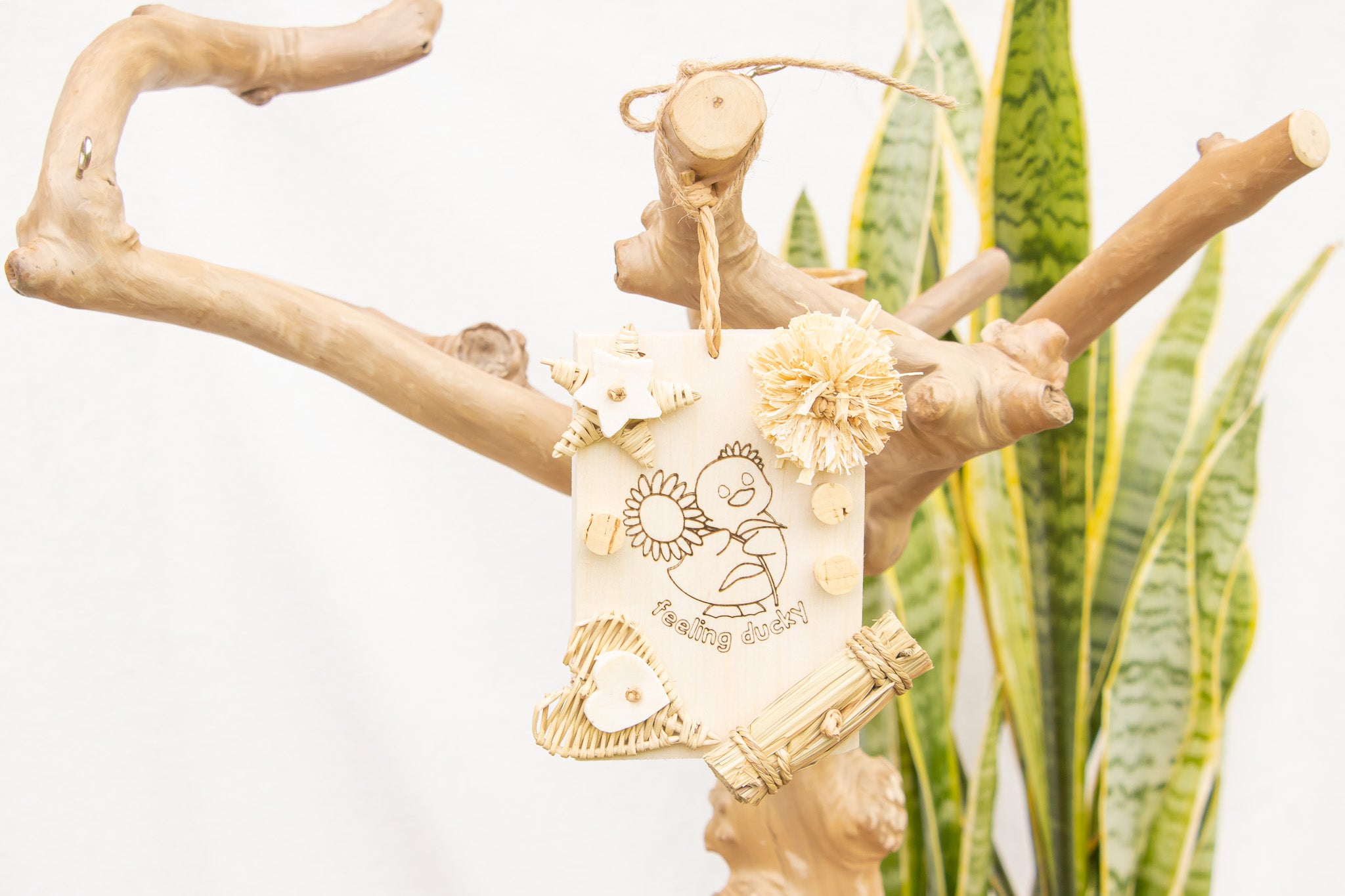 Quacktacular - Natural Toy