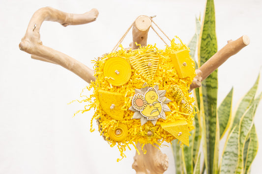 Duckling Dream - Shredding Toy