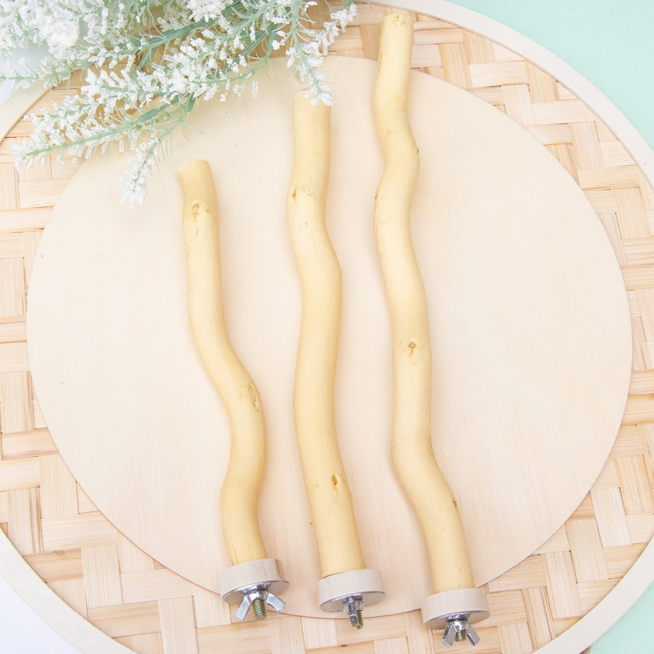 Dragon wood Perch - Perch