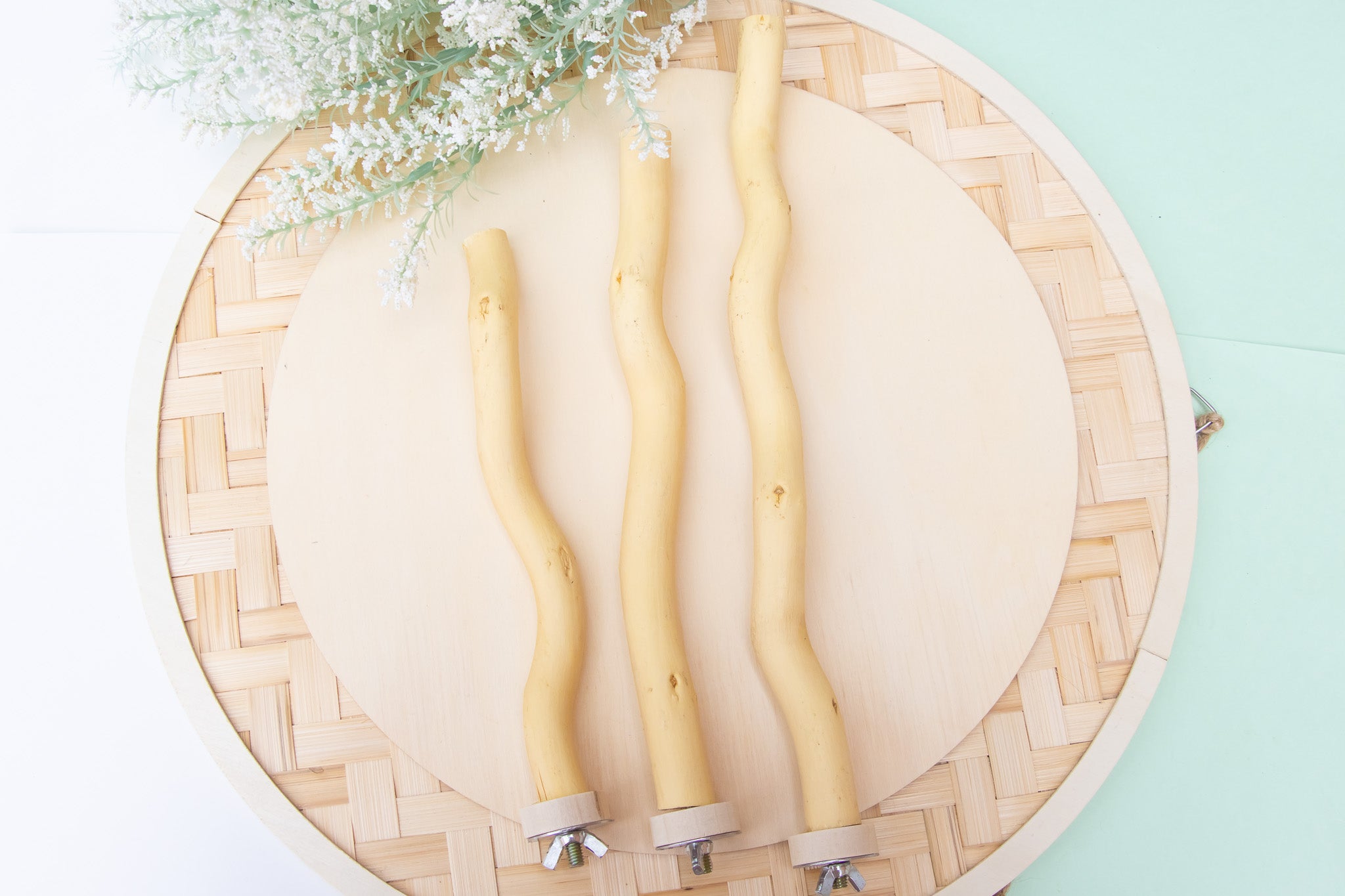 Dragon wood Perch - Perch