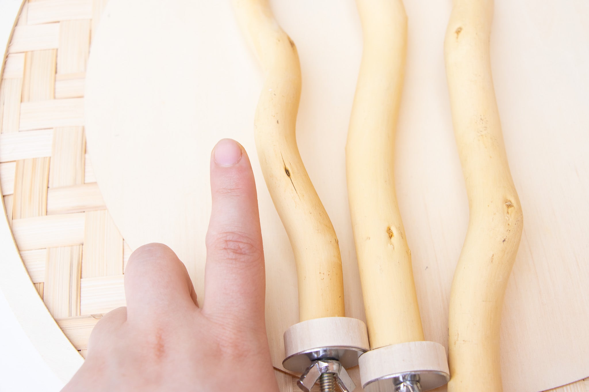 Dragon wood Perch - Perch