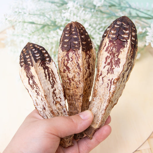 Mahogany Pod - Toy Part