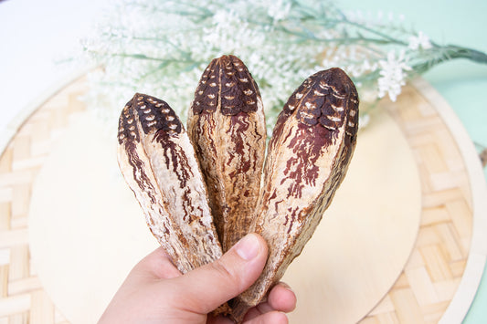 Mahogany Pod - Toy Part