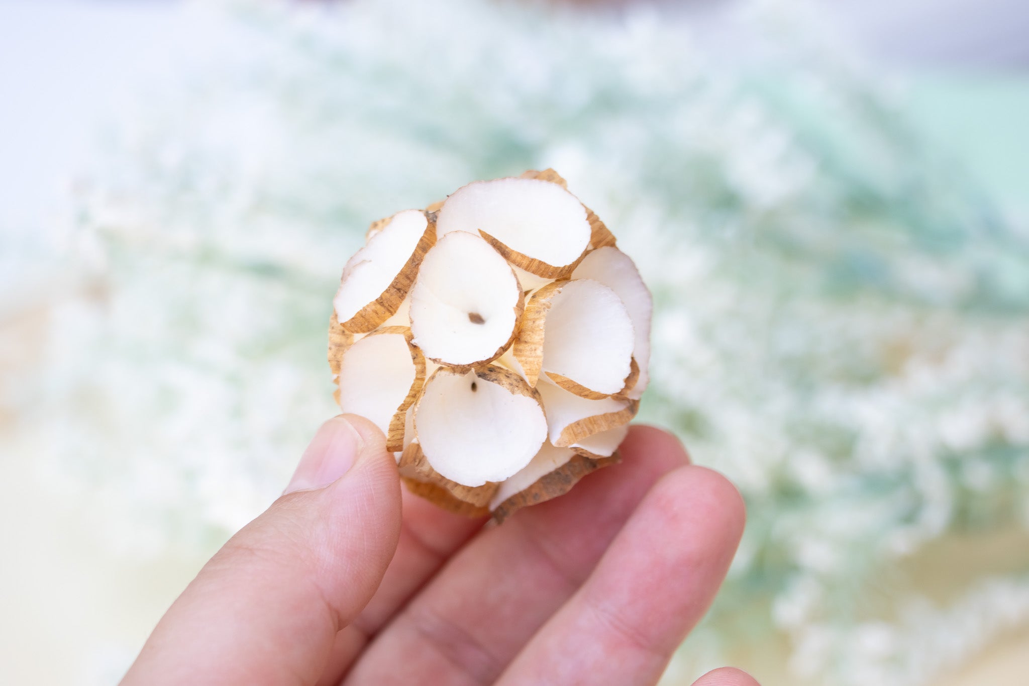 Sola Crepe Ball with Bark - Toy Part