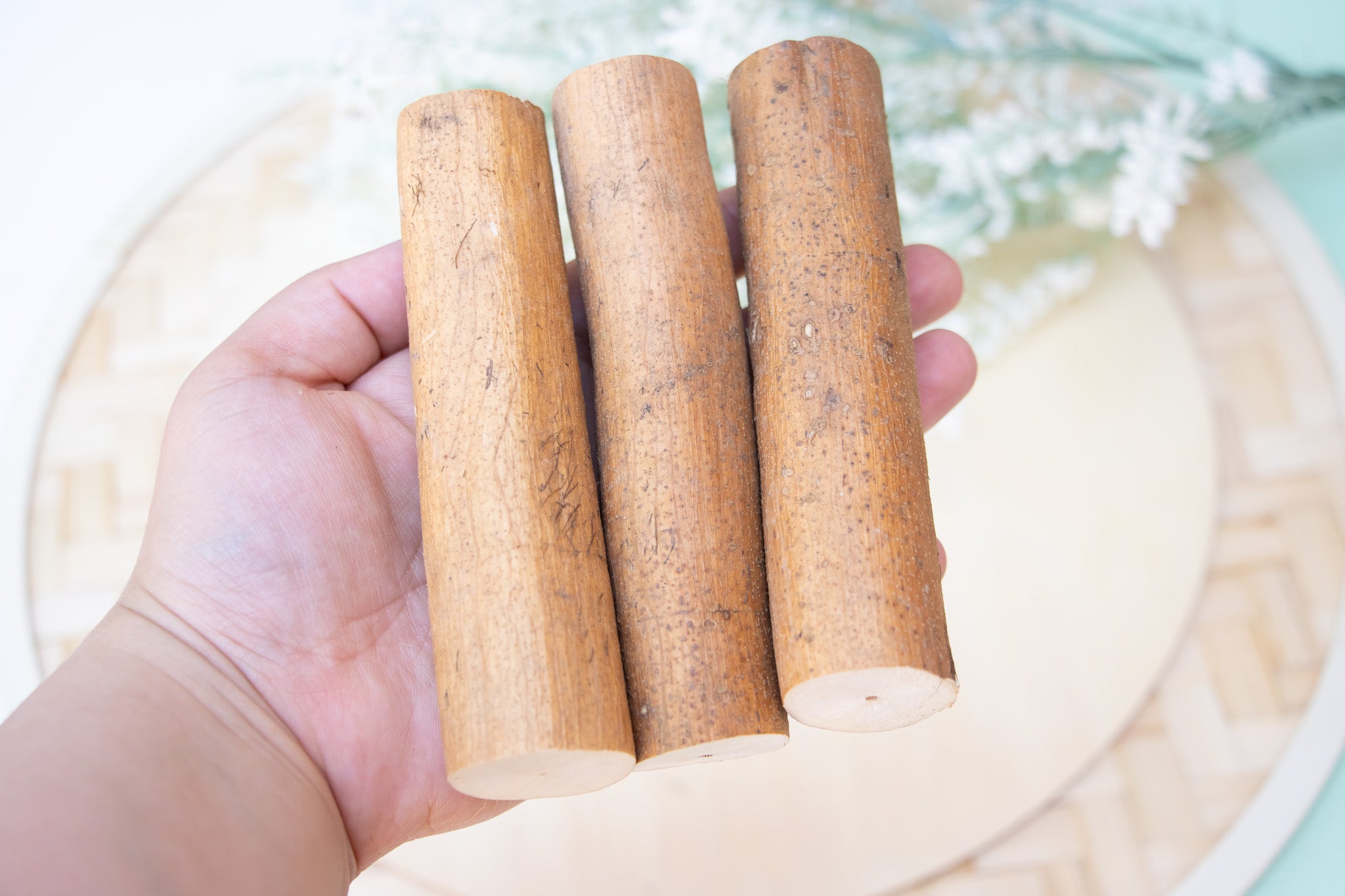 Sola Log with Bark - Toy Part