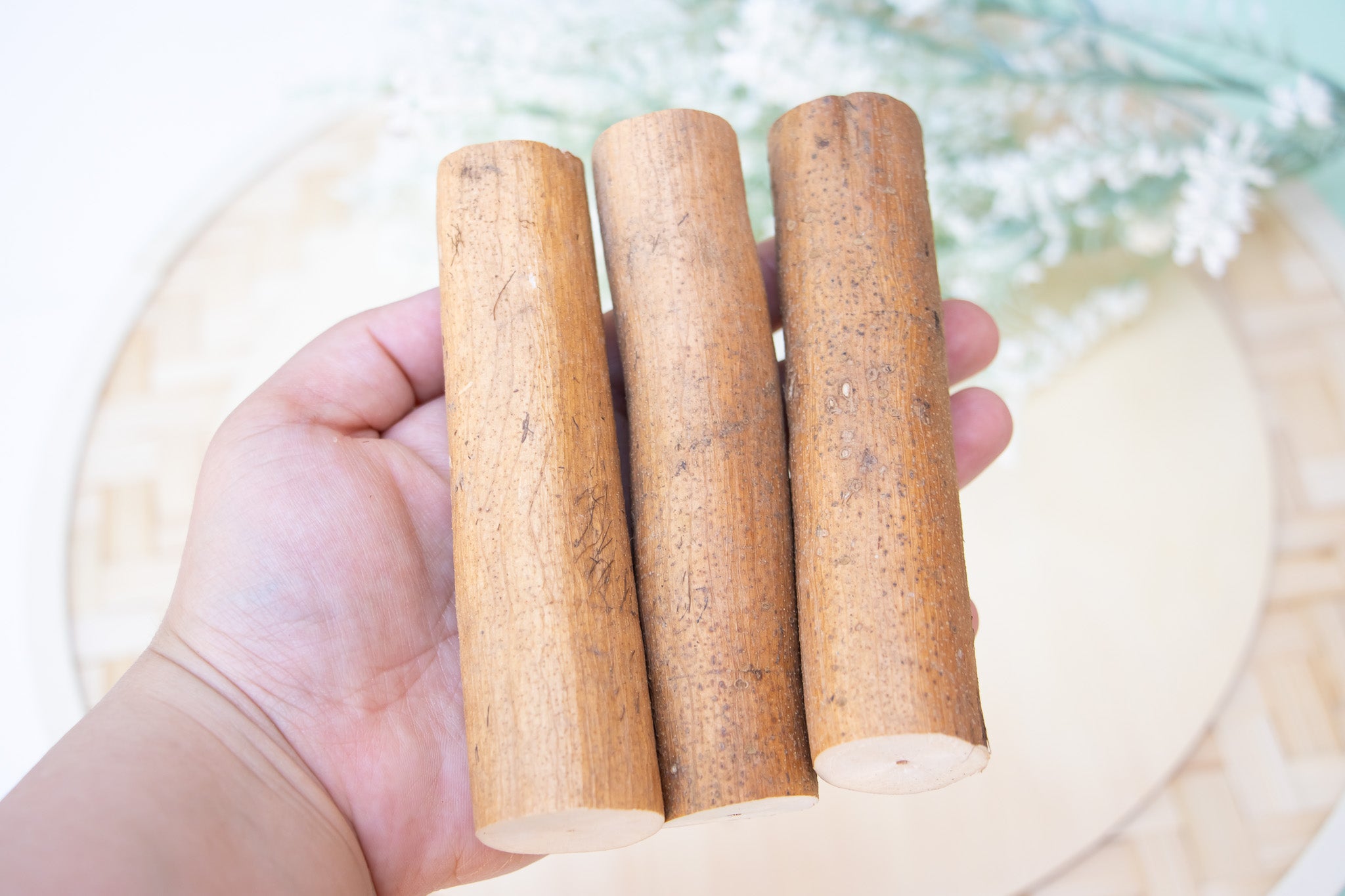 Sola Log with Bark - Toy Part