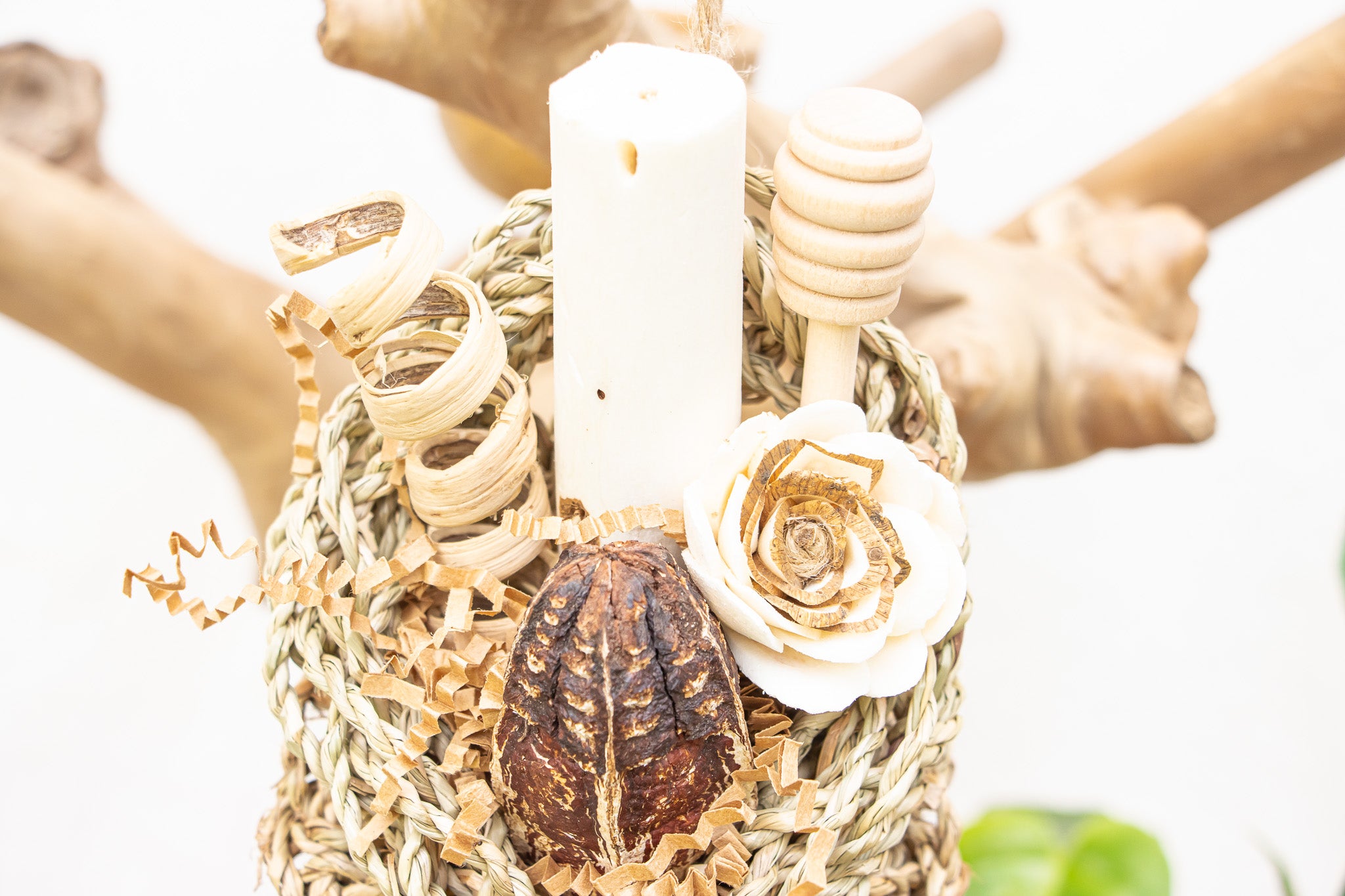 Honey Bee - Bee Collection