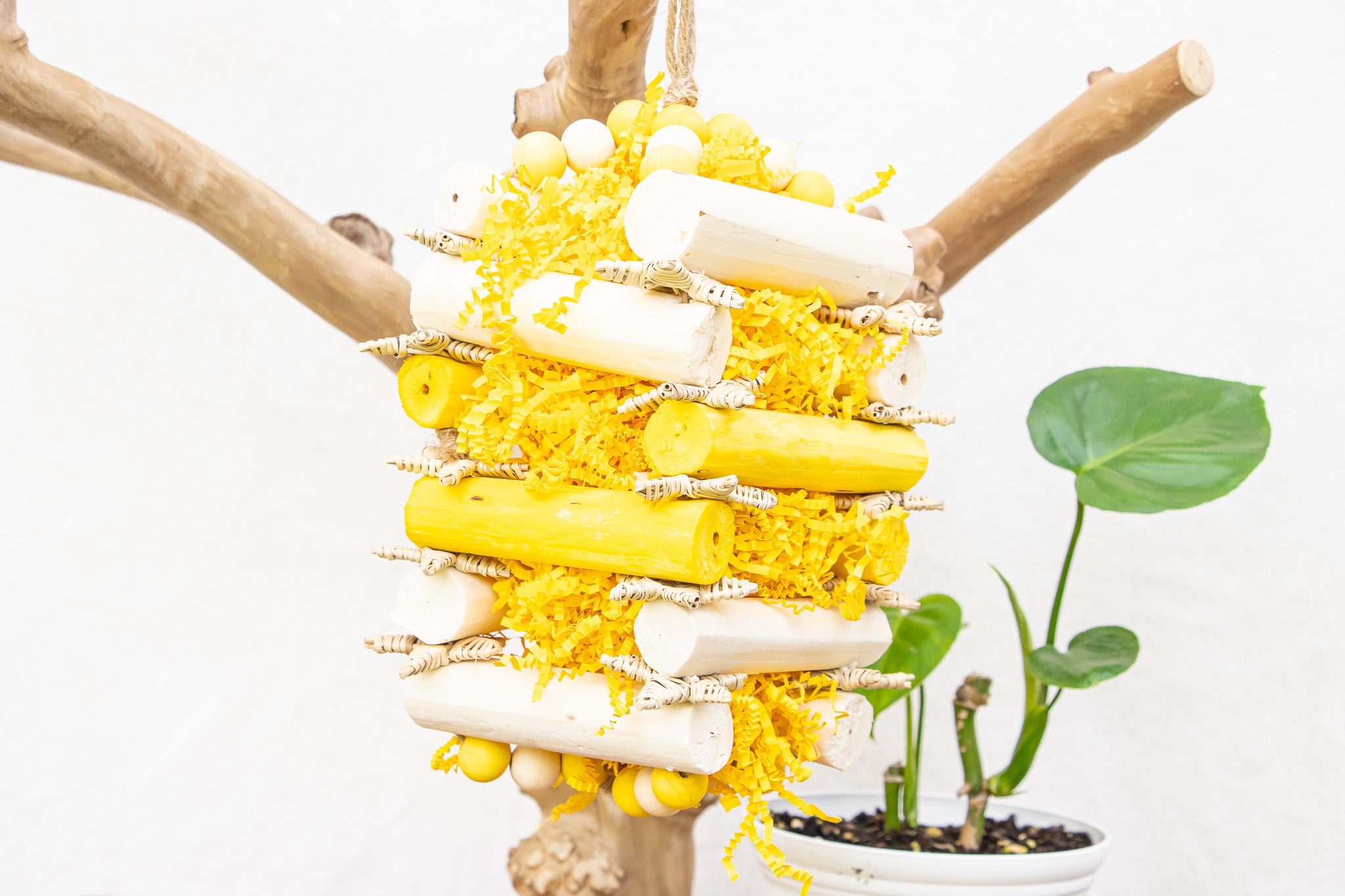 Buzzing Bee - Bee Collection