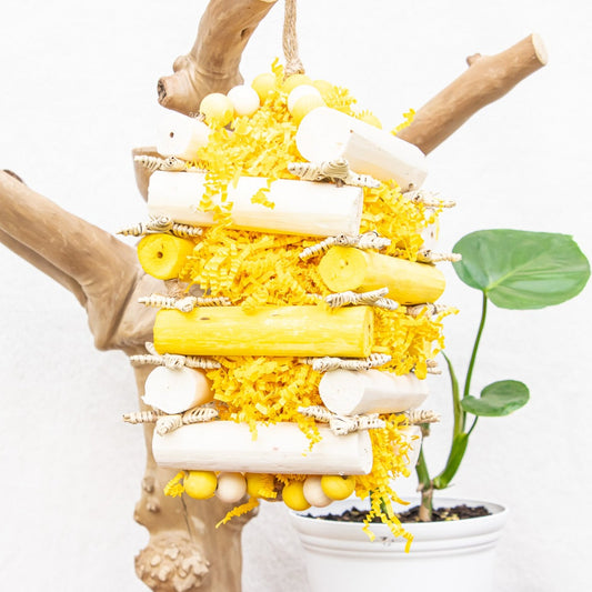 Buzzing Bee - Bee Collection