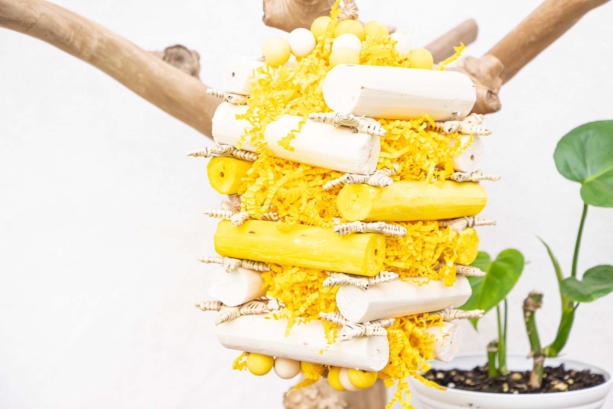 Buzzing Bee - Bee Collection