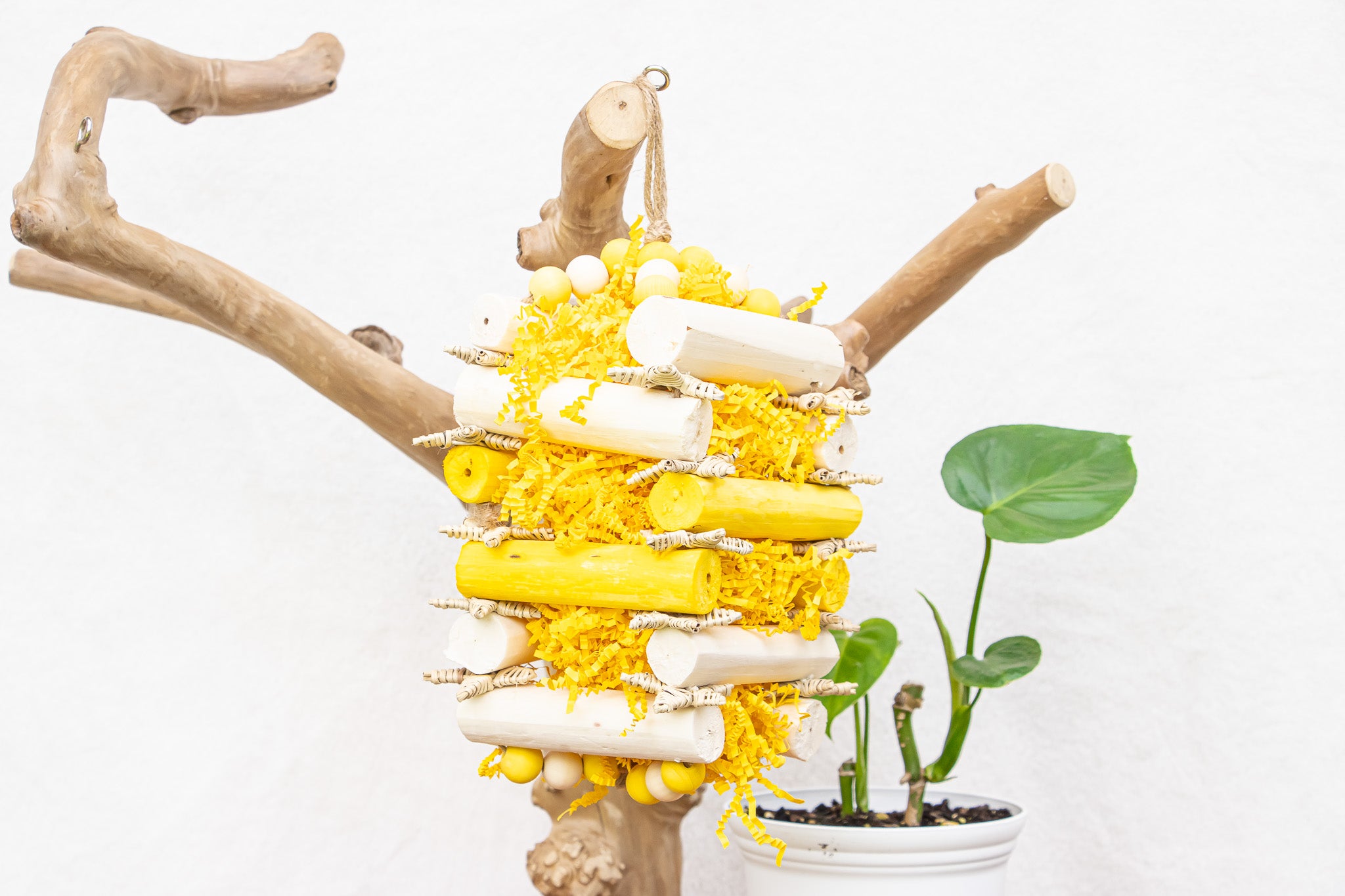 Buzzing Bee - Bee Collection