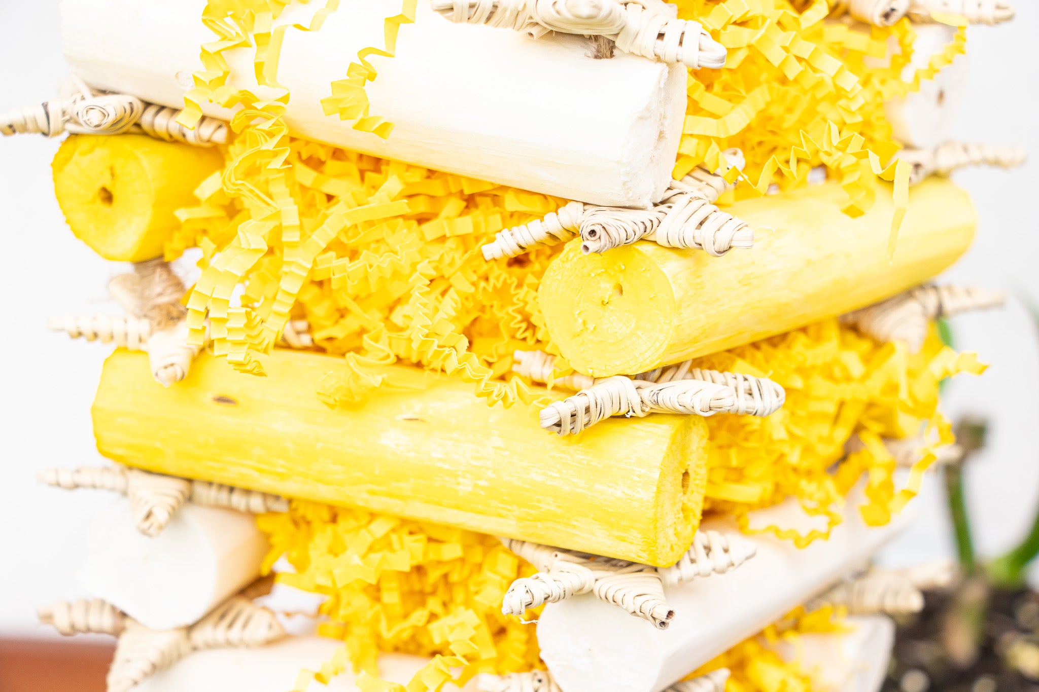 Buzzing Bee - Bee Collection