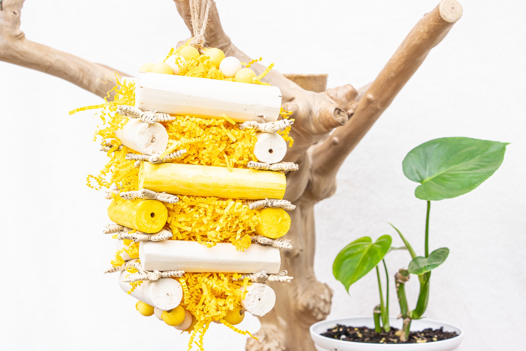 Buzzing Bee - Bee Collection