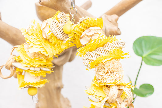 Pollinator - Bee Collection