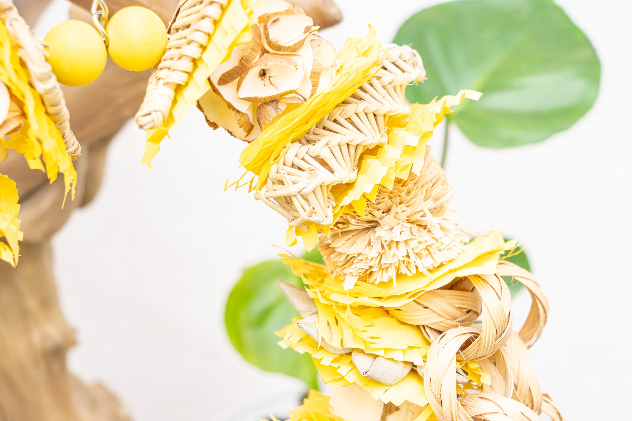 Pollinator - Bee Collection