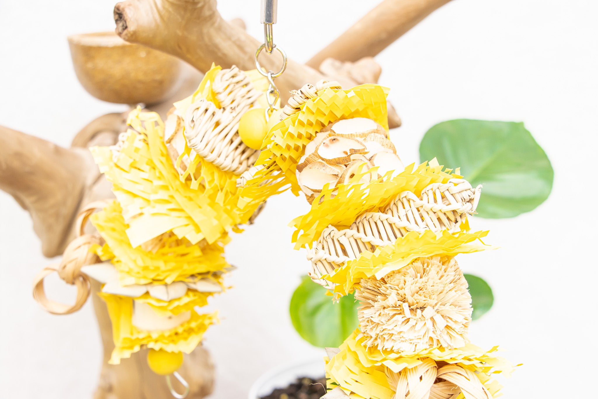 Pollinator - Bee Collection