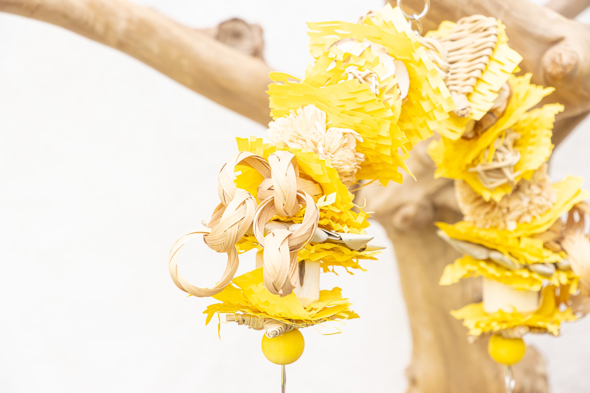 Pollinator - Bee Collection