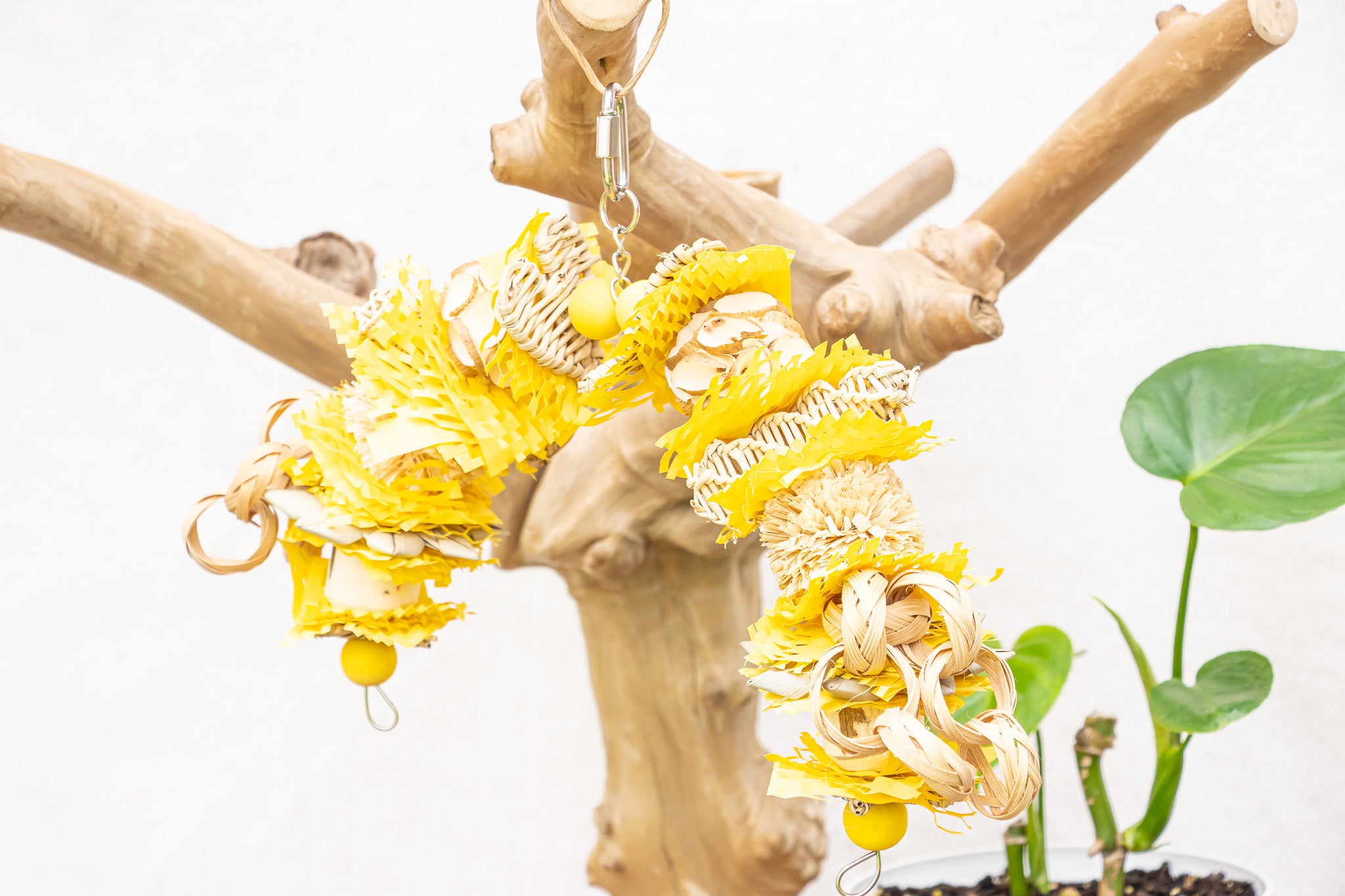 Pollinator - Bee Collection