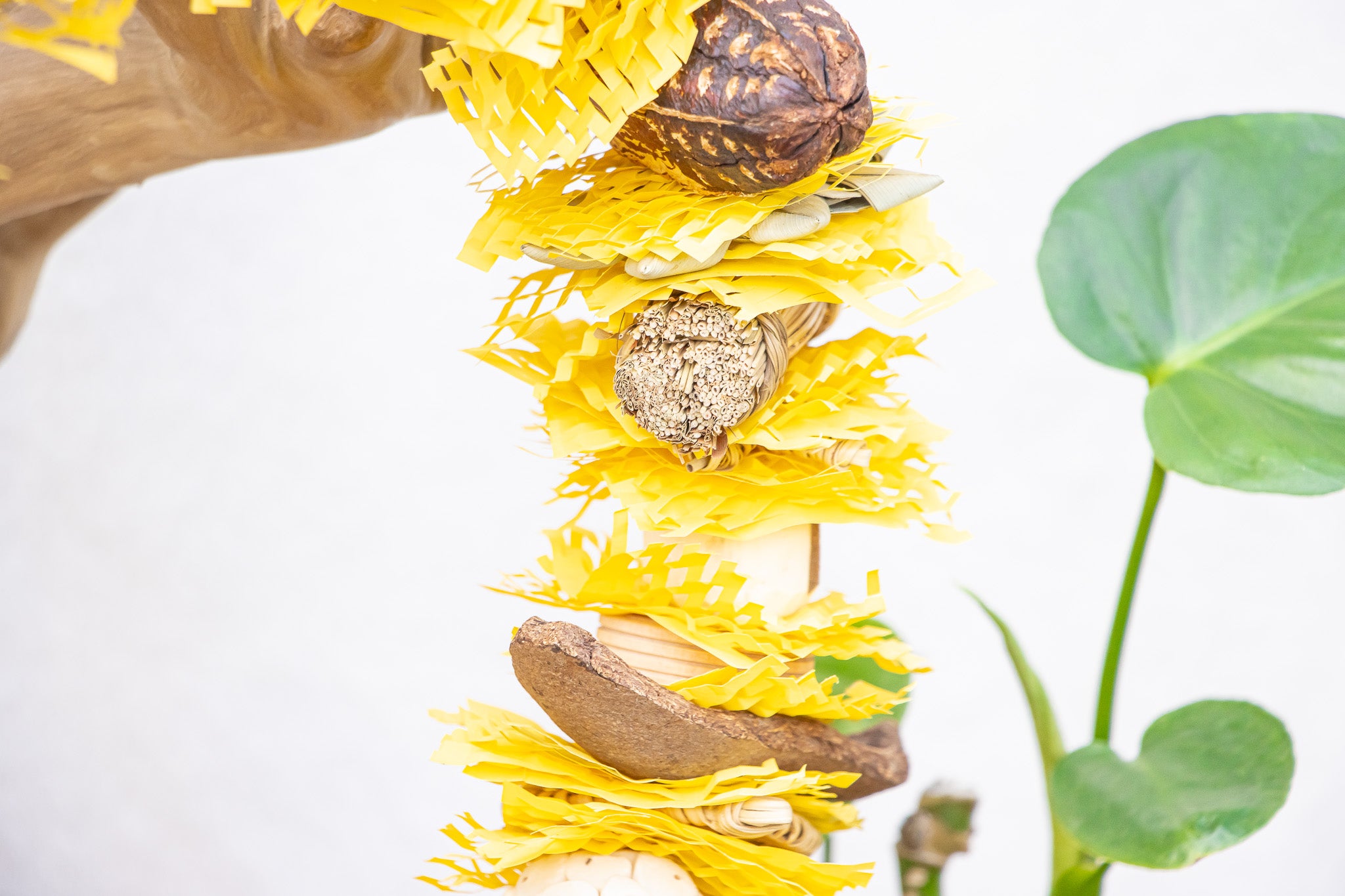 Buzzing into Adventure - Bee Collection