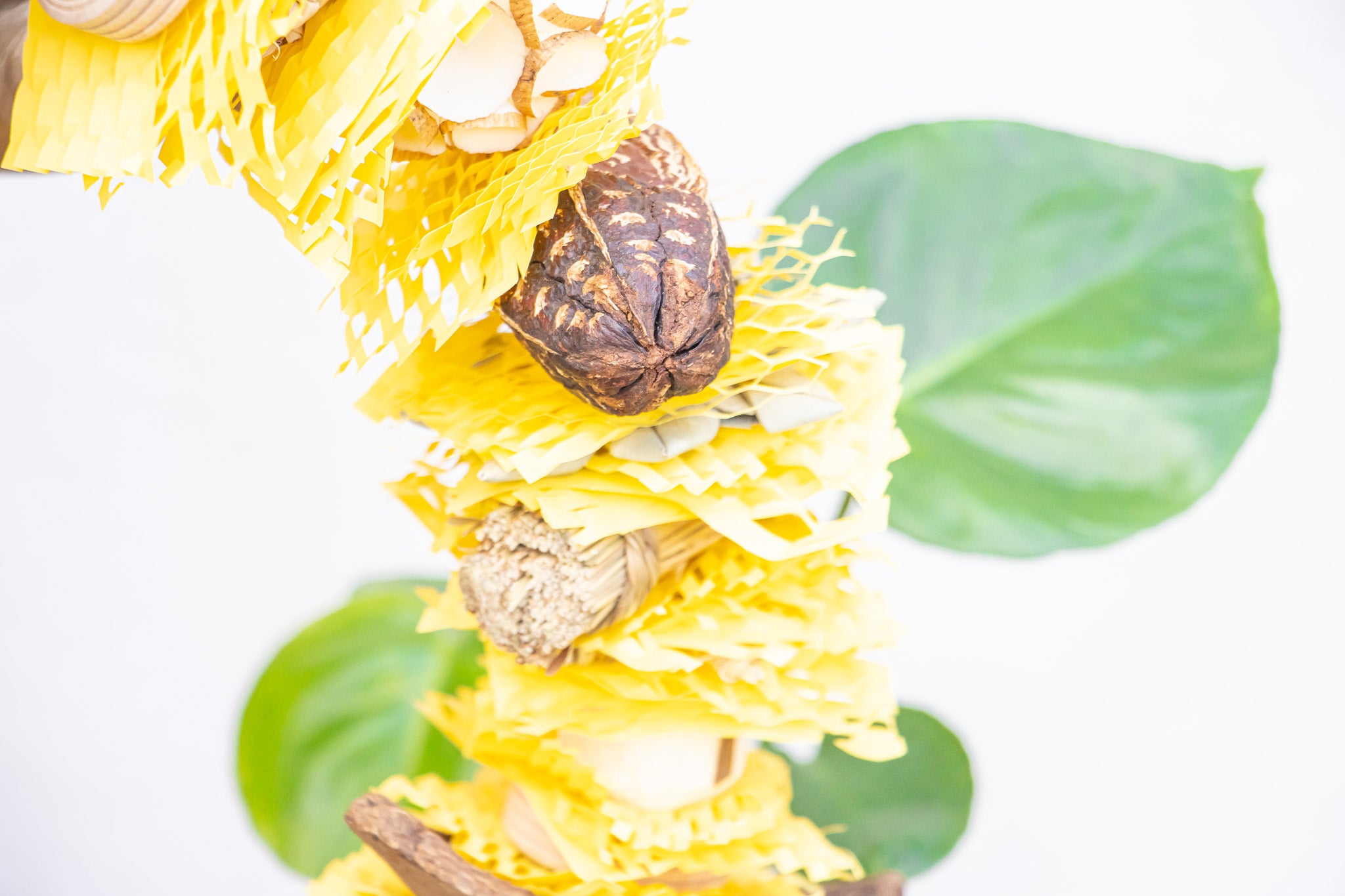 Buzzing into Adventure - Bee Collection