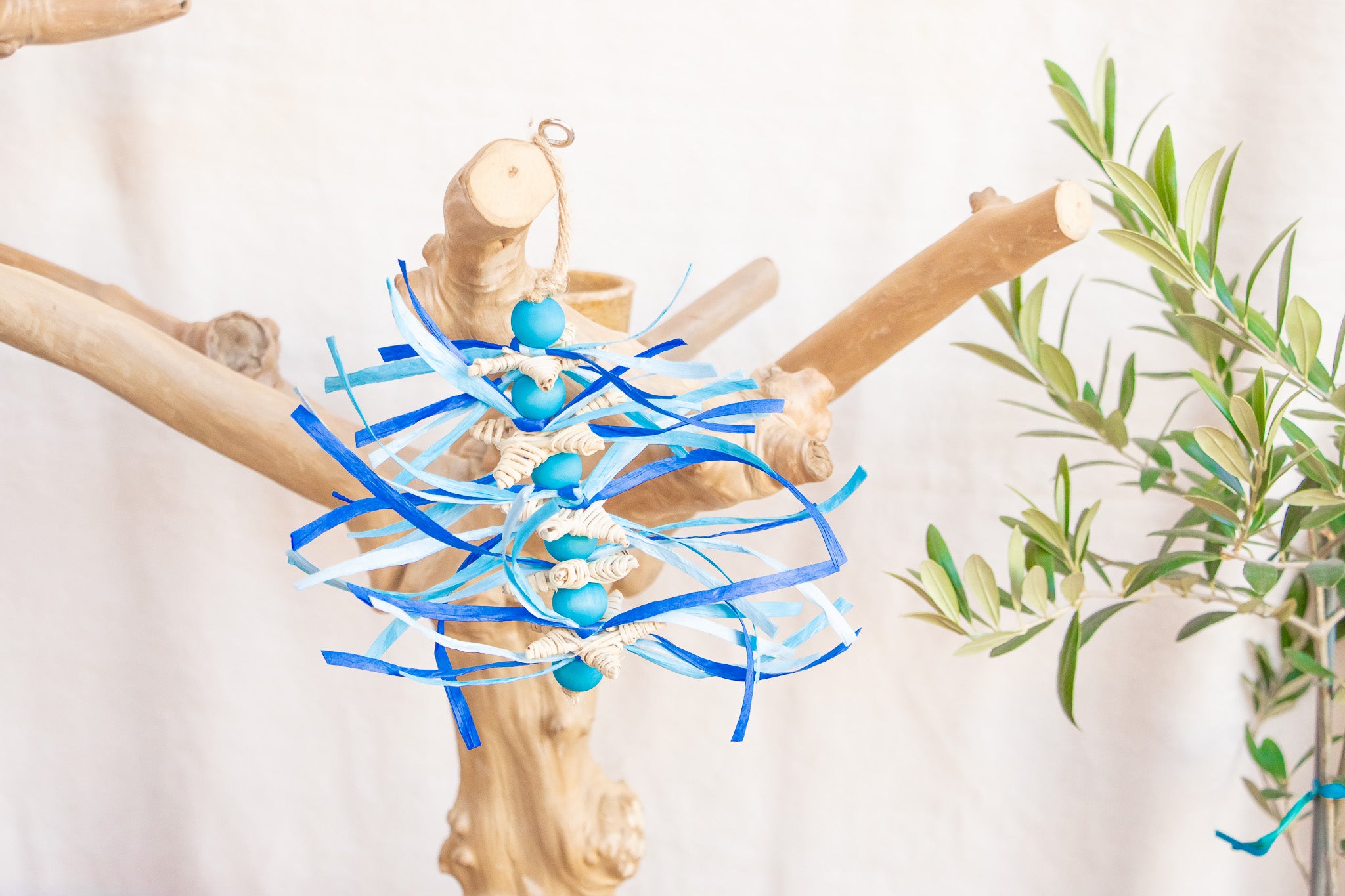 Winter Twinkle - Winter Collection