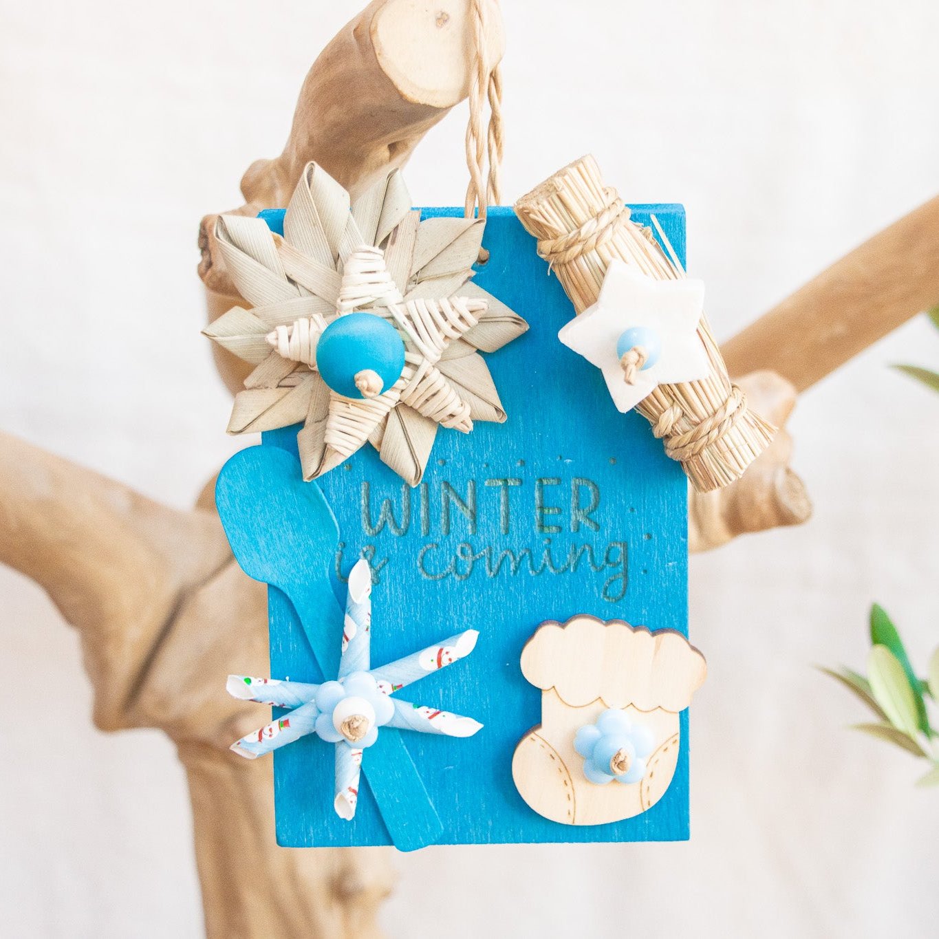 Winter is Coming - Winter Collection