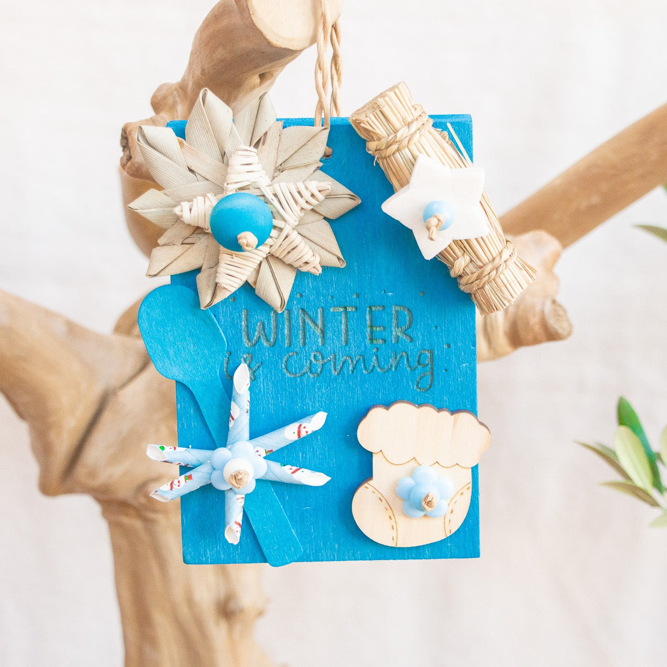 Winter is Coming - Winter Collection