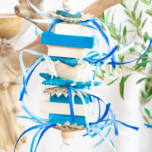 Frozen Fun - Winter Collection