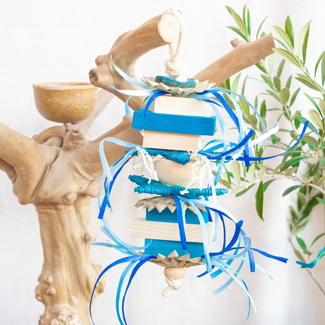 Frozen Fun - Winter Collection