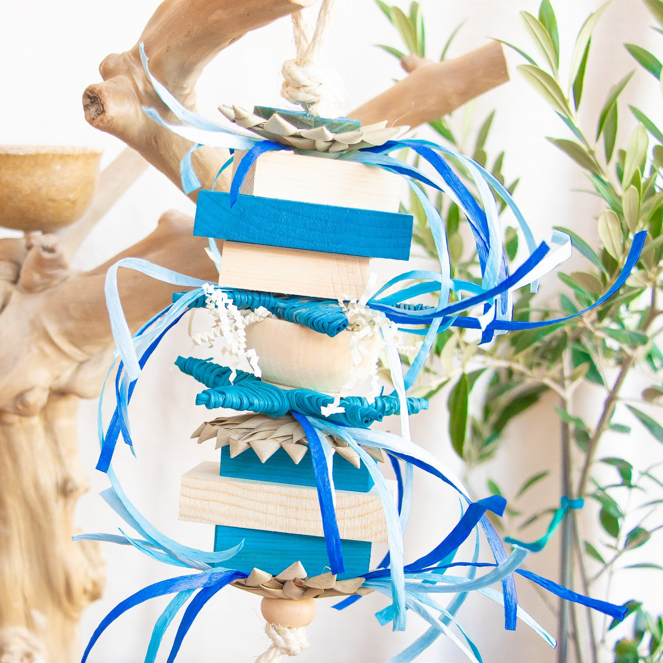 Frozen Fun - Winter Collection