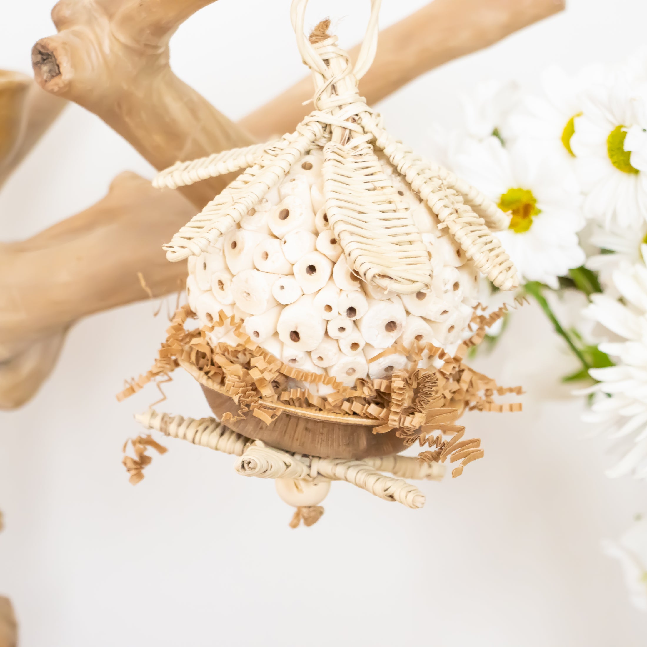 Enchanted Garden - Natural Collection