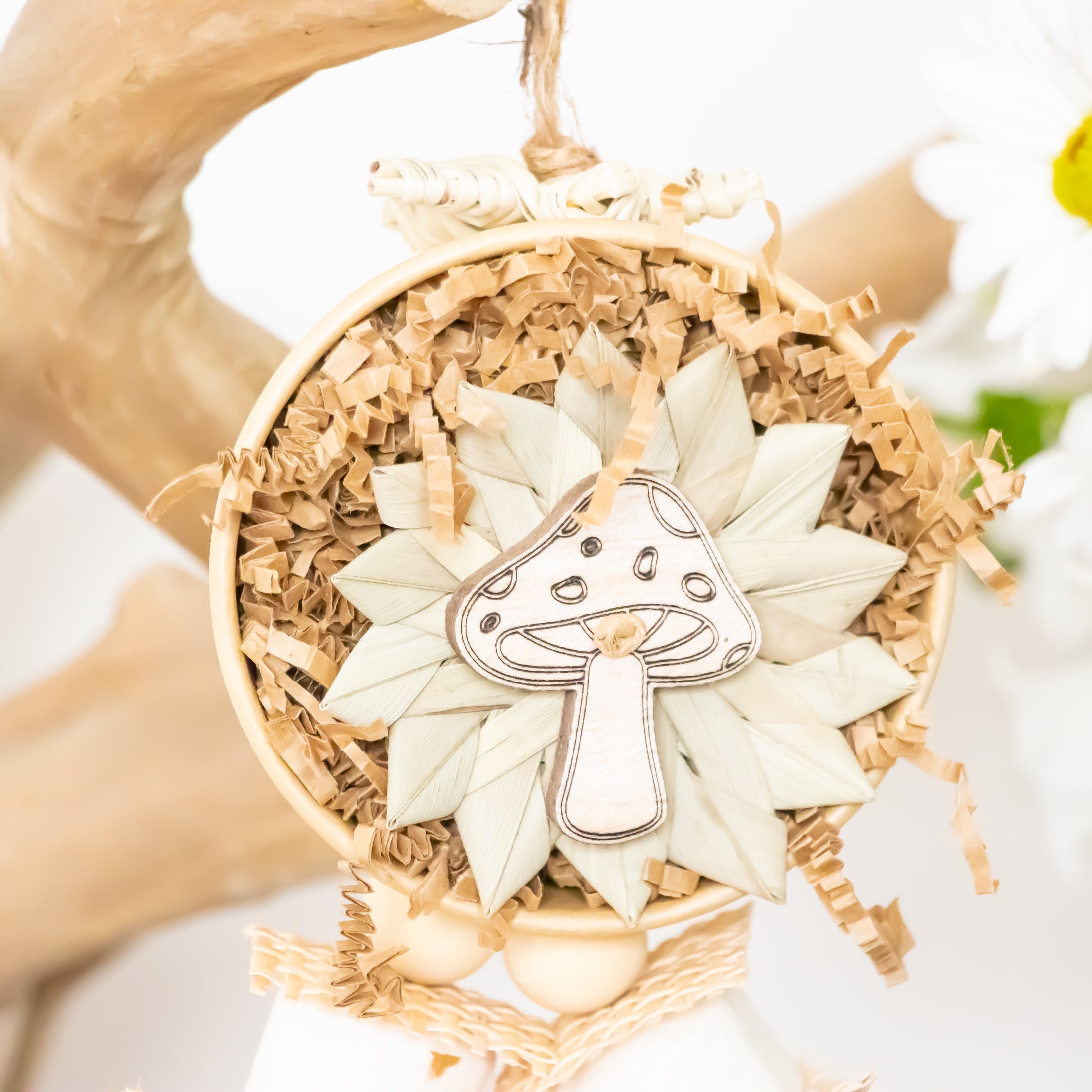 Natures Fungi - Natural Collection