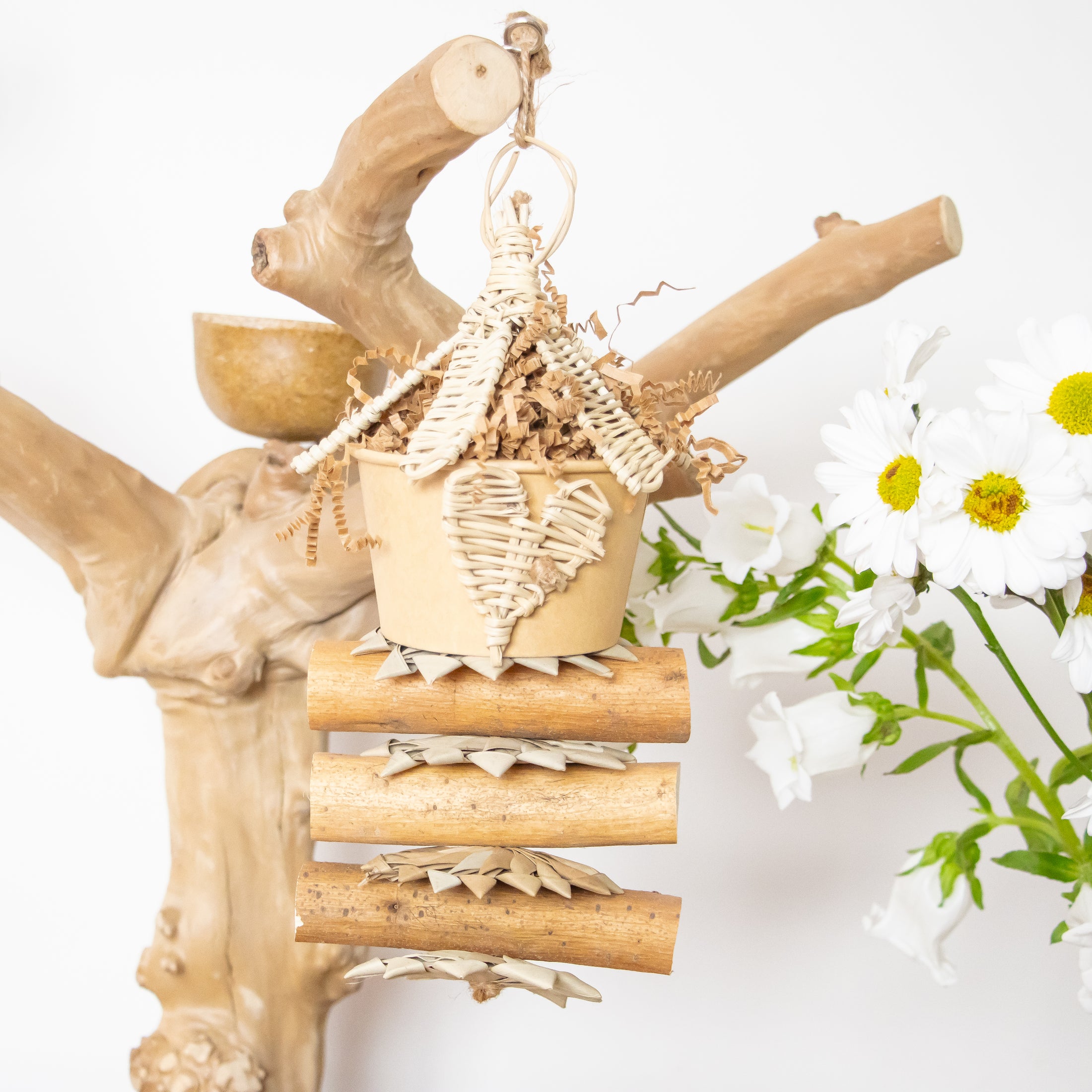 Heart of Nature - Natural Collection