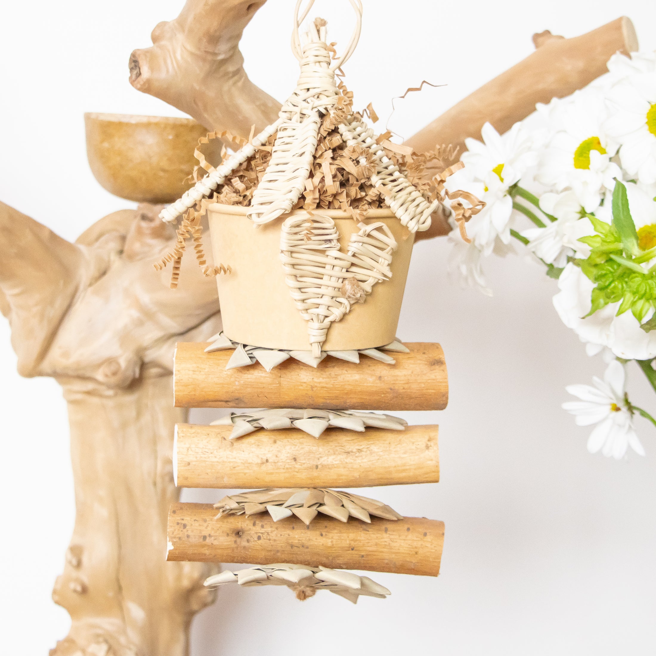 Heart of Nature - Natural Collection