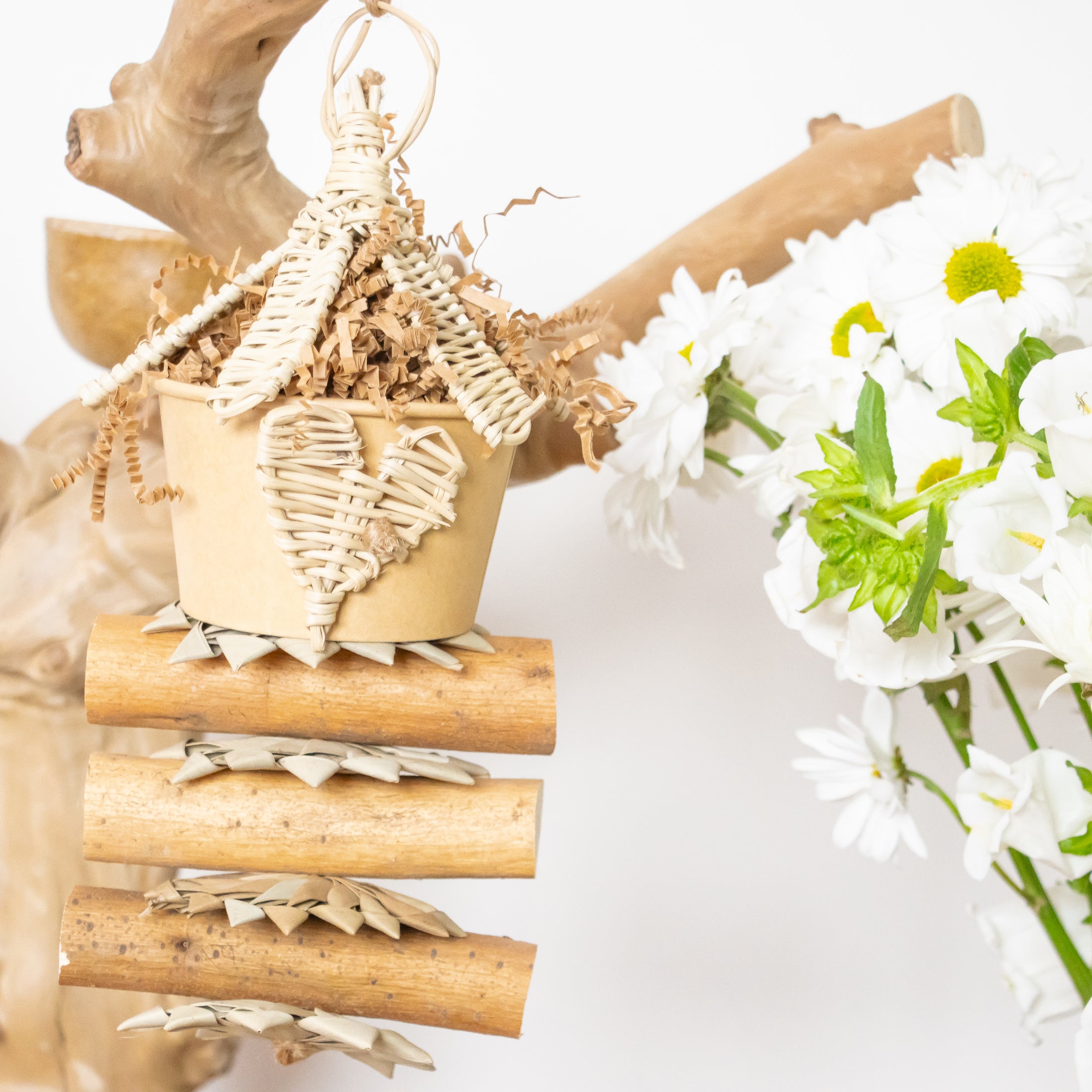 Heart of Nature - Natural Collection