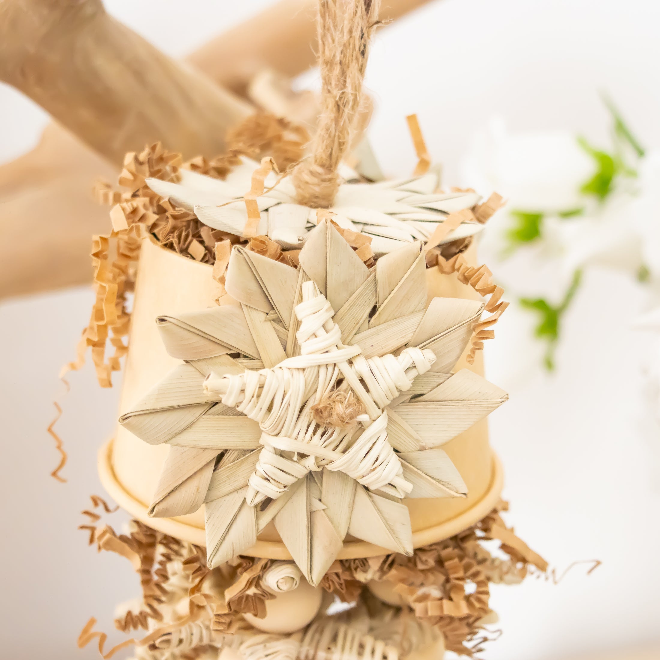 Starlight Blaze - Natural Collection