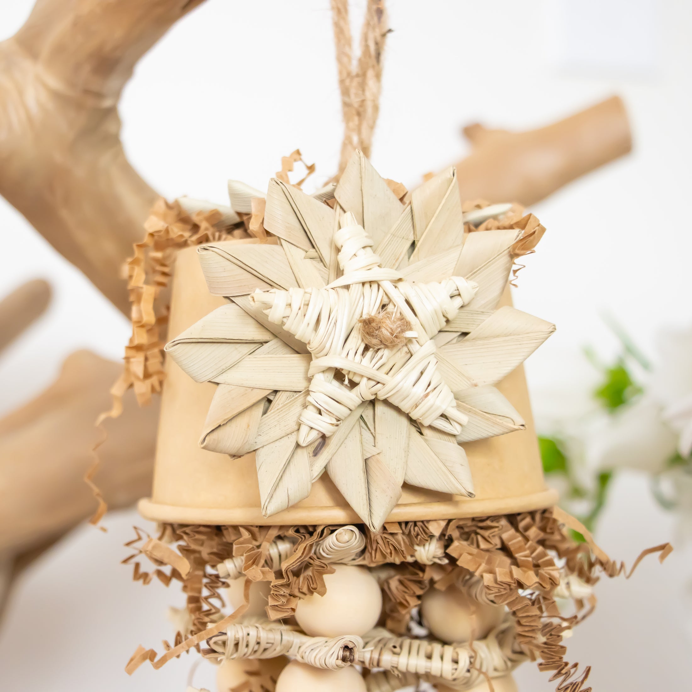 Starlight Blaze - Natural Collection