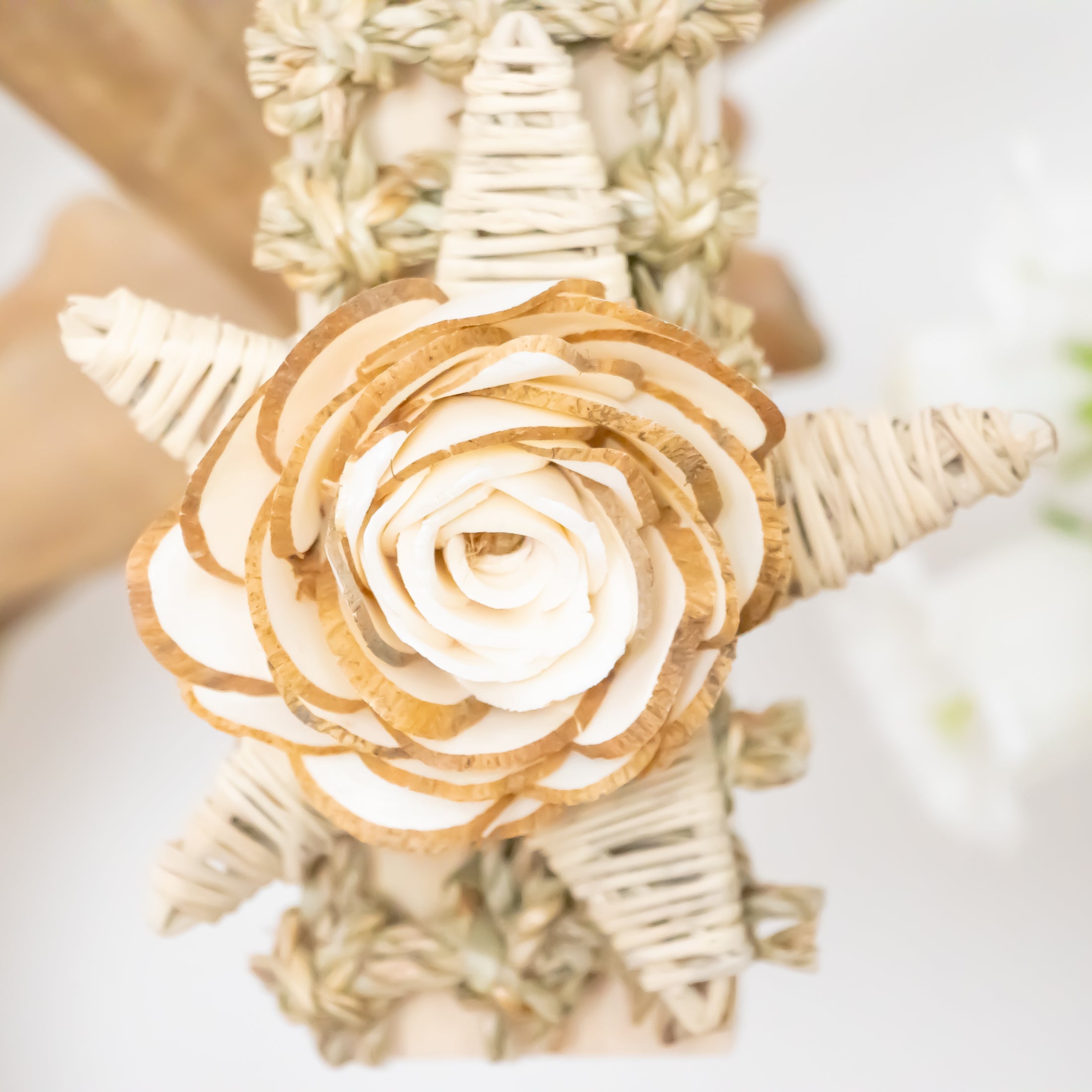 Petal perfection - Natural Collection