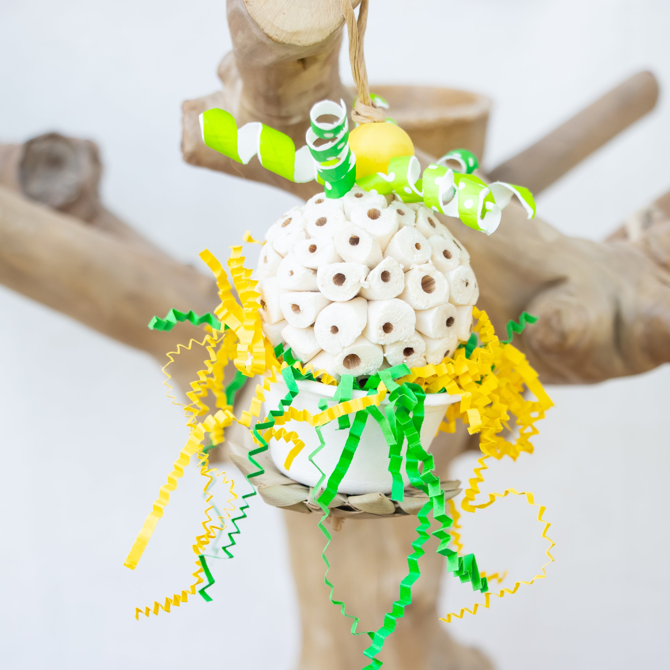 Tiny Roar, Big Heart - Dragon Collection