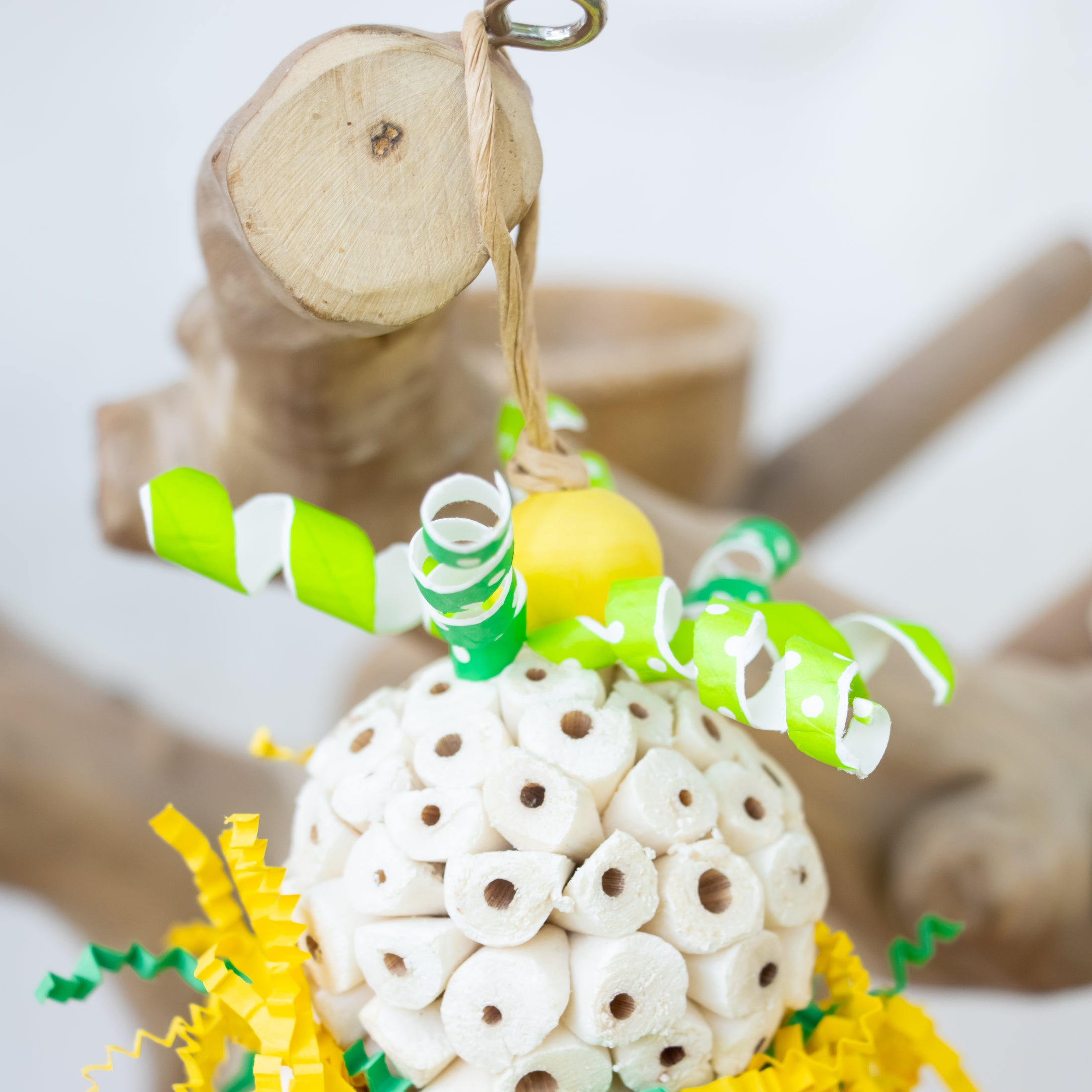 Tiny Roar, Big Heart - Dragon Collection